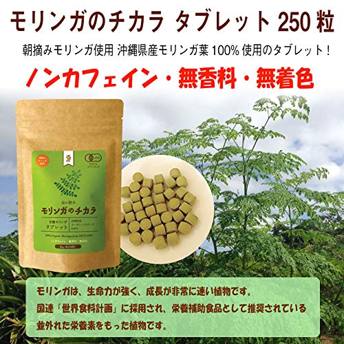 Amazon.co.jp: Free Our Soul モリンガのチカラ タブレット 25g(約250 