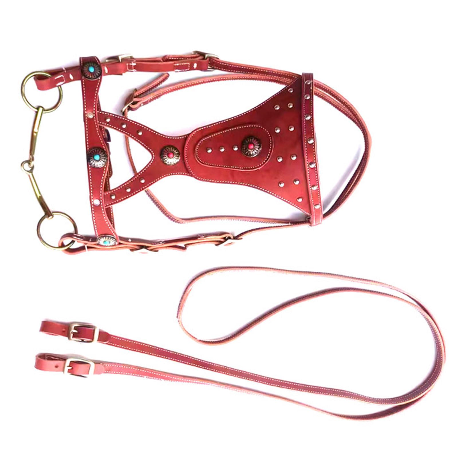 Cabeza de jaula de nylon pesada ajustable, Brida de caballo Anatomical Show, cabeza de potro, piel de vaca pura, remache, rojo/negro, 1,4-1,6 m(Schwarz)