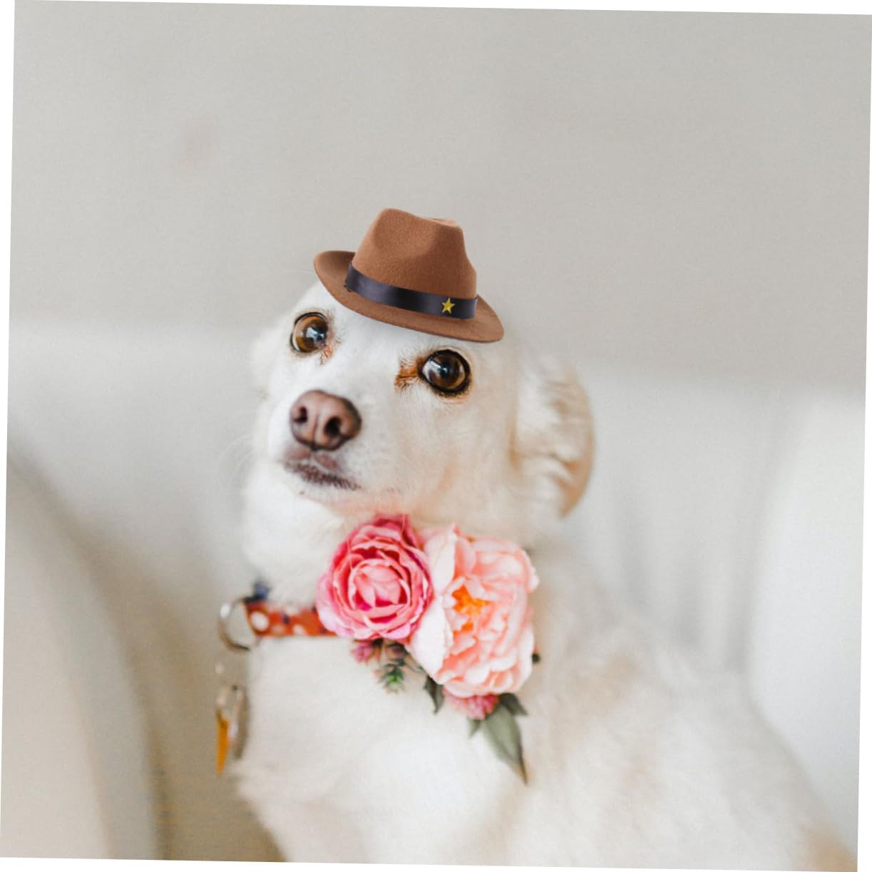 VICASKY Wear Resistant Polyester Dog Hat with Decorative Star Design for Pet Parties Photo Shoots Everyday Use Accessory for Fashionable Pets