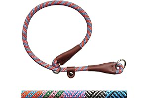 Dog Slip Collar, Heavy Duty Nylon Choke Training Collar