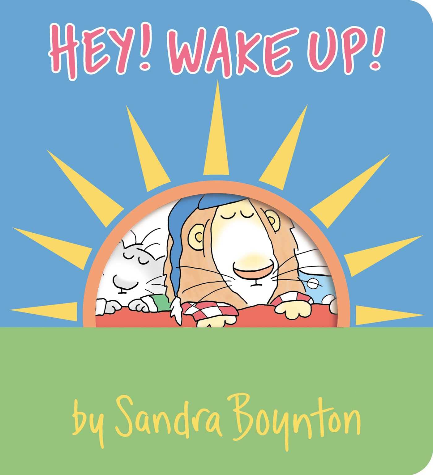 Sandra BoyntonSimon & Schuster Hey! Wake Up!
