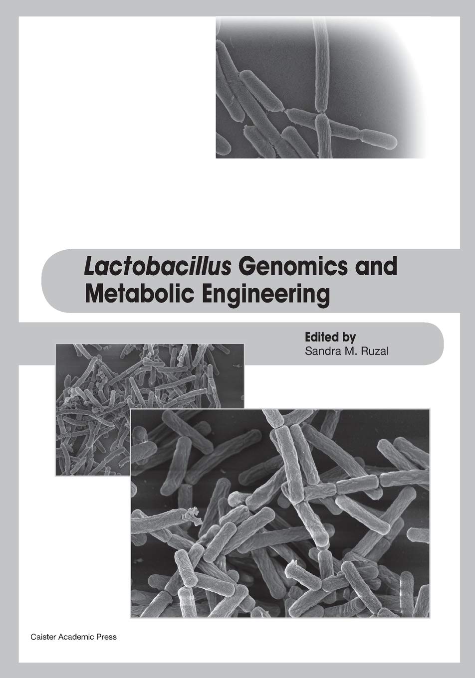 Buy Lactobacillus Genomics and Metabolic Engineering — BookShops.in