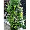 BALDURGarten GmbH Flower Tower Tour pour Fleurs 85 cm de Haut