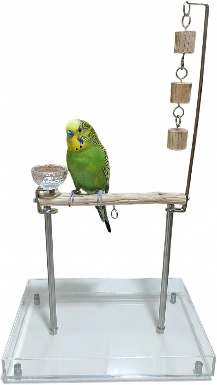 Small Bird Play Stand,Parrot Perch Stand,Parrot Playground with Feeder&Mess Tray, Natural Wood Perches for Cockatiel, Parakeet, Lovebirds, Conure (Short)