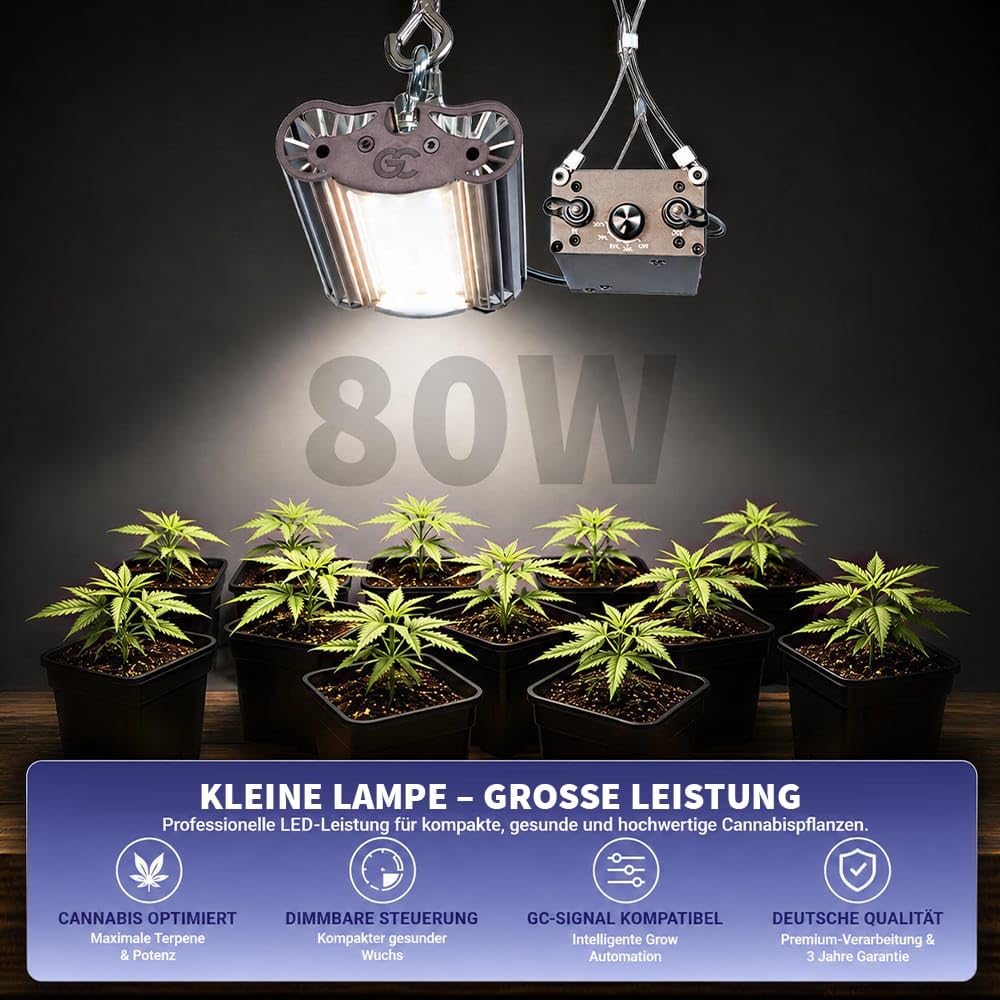 Greenception GCx-2solo PWR 80W LED Pflanzenlampe, Vollspektrum Pflanzenlicht mit UV & IR, Dimmbares Indoor Pflanzenlicht für Wachstum, Blüte und Terpenproduktion