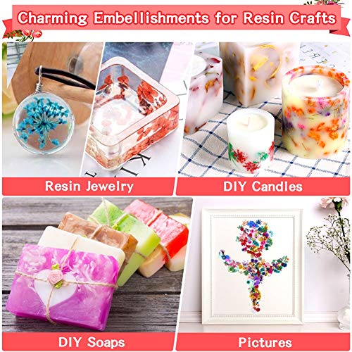 image for 6 Boxes Dried Flowers for Nail Art, Audab 190 Pcs Nail Dried Flowers M