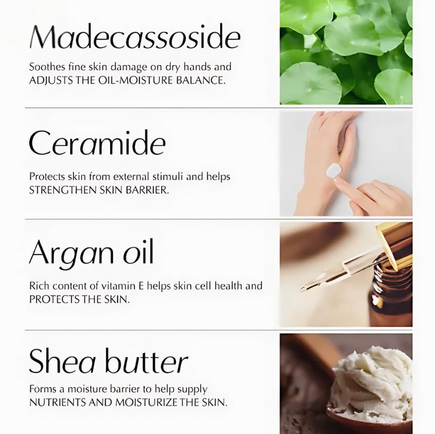 W.Dressroom Moisturizing Hand Cream for Dry Hands, Non-Greasy, Quick-Absorbing Korean Hand Lotion, Travel Size 1.69 fl oz (50 ml), No.514 May Rose Shop Scent