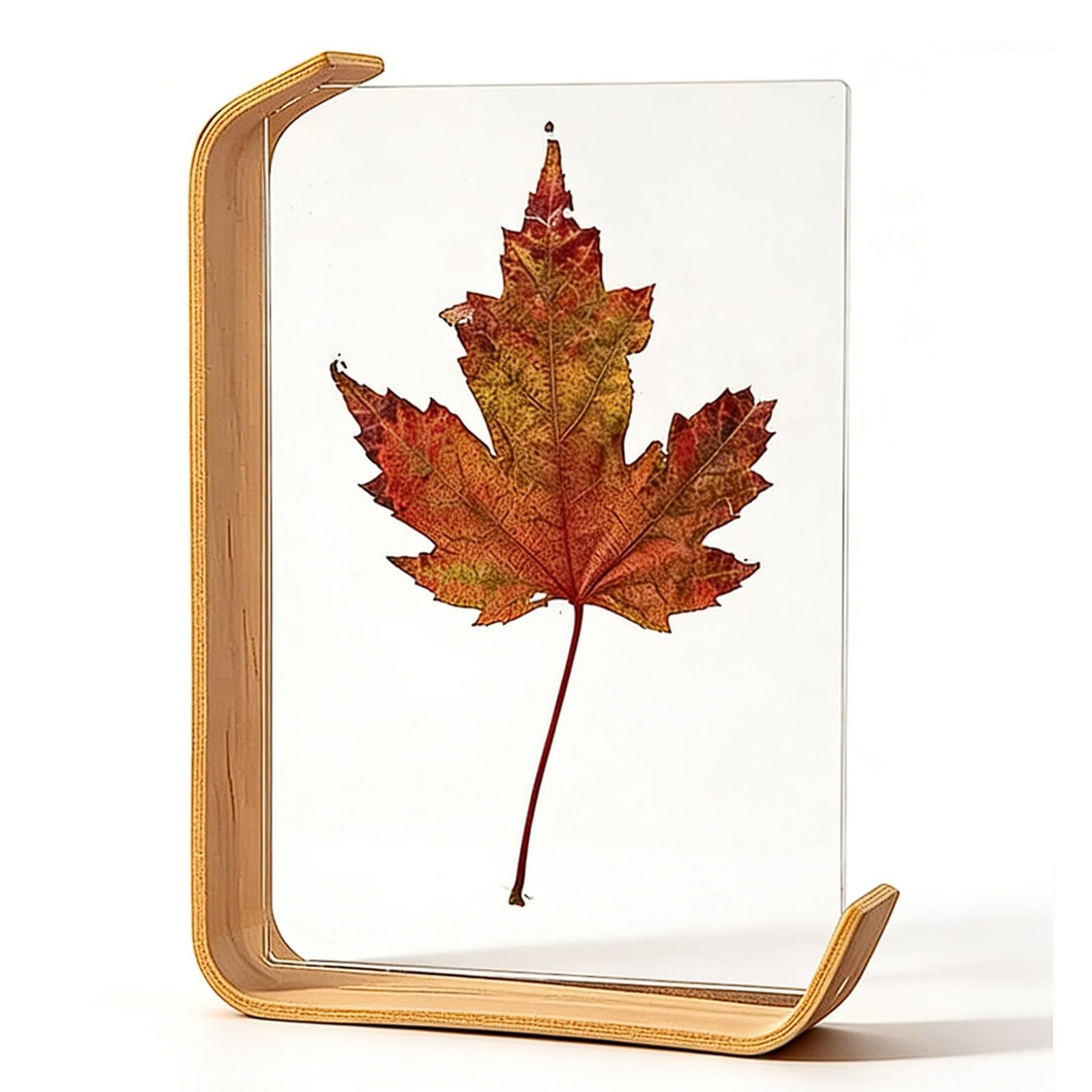 Photo Frame Double-Sided 3D Transparent Picture Frame for Displaying Plant Specimens, Embossed Flowers photograph(Wood,12.7 * 17.8cm)
