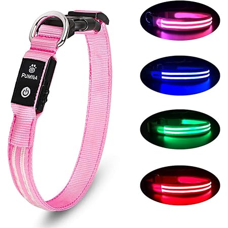 Flashing dog collar Clearance