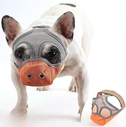 Scifimp ݂ih~邽߂ɐ݌vꂽAZp bVւłB