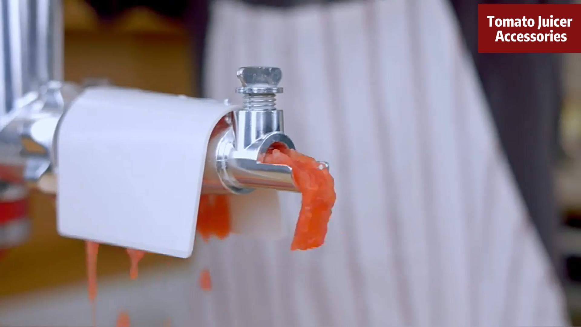 Gavigain Passoire à Tomates électrique De Luxe, Joint D'écran, Pièces De Hachoir à Viande Pour Mélangeur, Hachoir à Viande, Presse-Agrumes, Arbre à Vis Pour Salsa, Fruits, Pommes, Baies