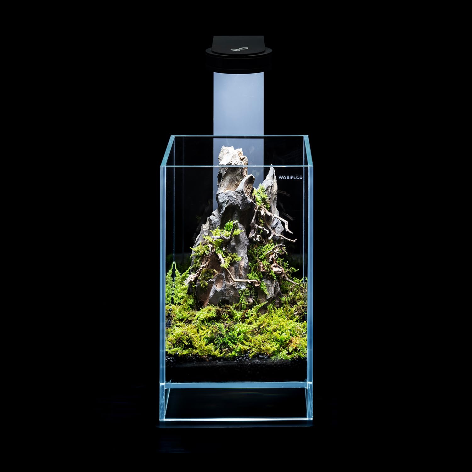 Terrario Terrarium in Vetro Extrachiaro con LED Integrato, Design Elegante per Ecosistemi Naturali e Giardini Acquatici, Dimensioni 15x15x25 h cm