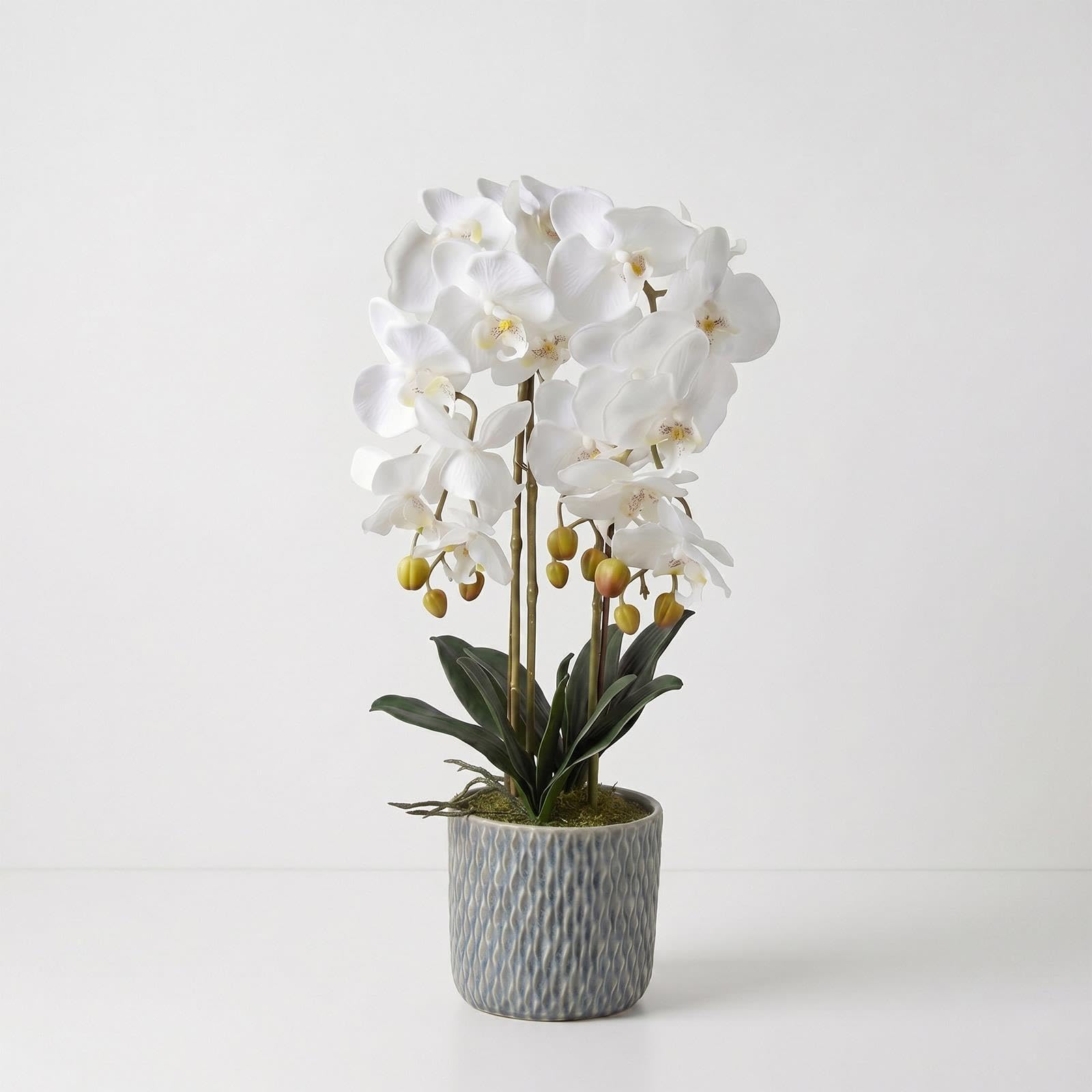 Homescapes Unisex White Artificial Cream Orchid In Blue Ceramic Pot In