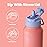 BOTTLE BOTTLE 32 oz Insulated Water Bottle Stainless Steel Sport Water Bottle with Straw Dual-use Lid Design for Gym with Pill Box (lavender dream)