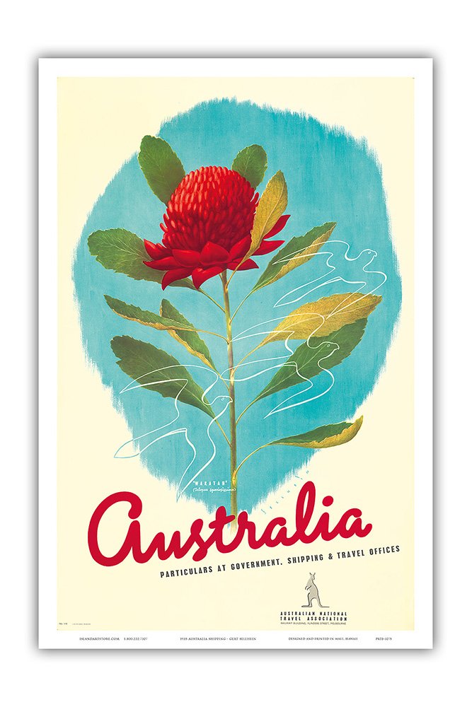 Pacifica Island Art Australia - Red Waratah (Telopea) Flower - New South Wales (NSW) State Emblem - Vintage World Travel Poster by Gert Sellheim c.1935 - Master Art Print 12" x 18" PRTB3275