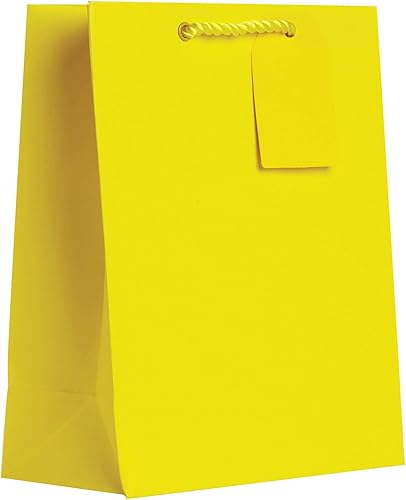 Miniatura 10 de JILLSON & ROBERTS Bolsas de regalo de papel sólido medianas maduras para todas las ocasiones, para Pascua, Día de la Madre, cumpleaños, despedidas