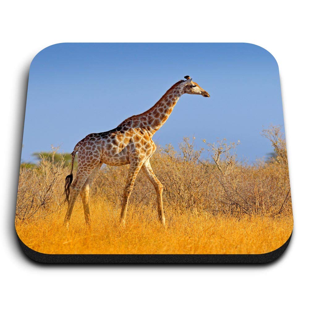 Destination Vinyl Ltd Multicolor 1 X Square Mdf Fridge Magnet - Giraffe African Wild Animal Africa 21597
