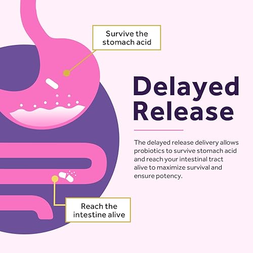 Miniatura 8 de Doctor's Recipes Probióticos para mujeres, 50 mil millones de UFC, 16 cepas, con prebióticos orgánicos de arándano, estable en el almacenamiento,