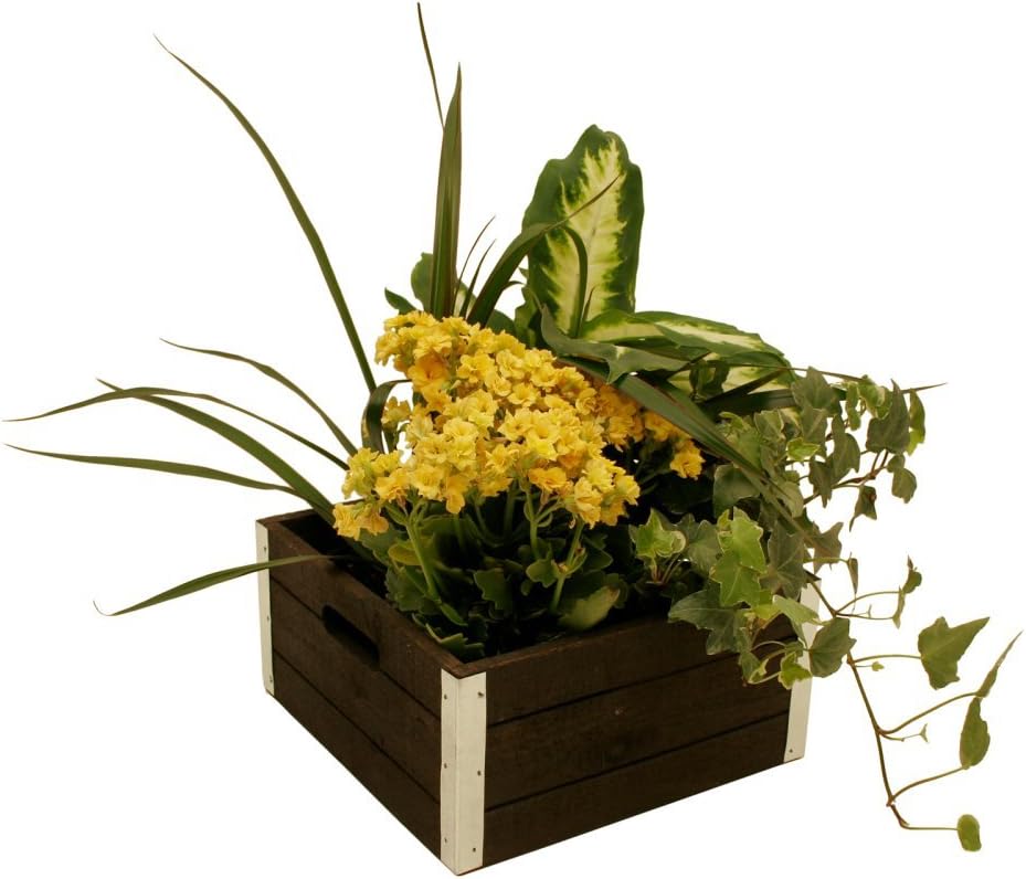 wald importsSet of 3 Distressed Wooden Crates for Storage - Decorative Wooden Crate Set for Home Decoration & Display - Vintage Storage for Household Goods