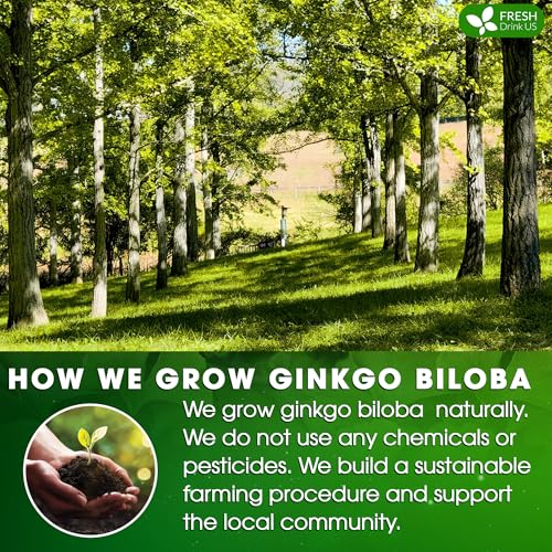 Image of FreshDrinkUS, Premium 75 Ginkgo Biloba Leaf Tea Bags, 100% Natural & Pure from Ginkgo Biloba Leaves. Loose Leaf Herbal Tea. Made with Eco-Conscious Tea Bags. No Sugar, No Caffeine, No Gluten, Vegan.