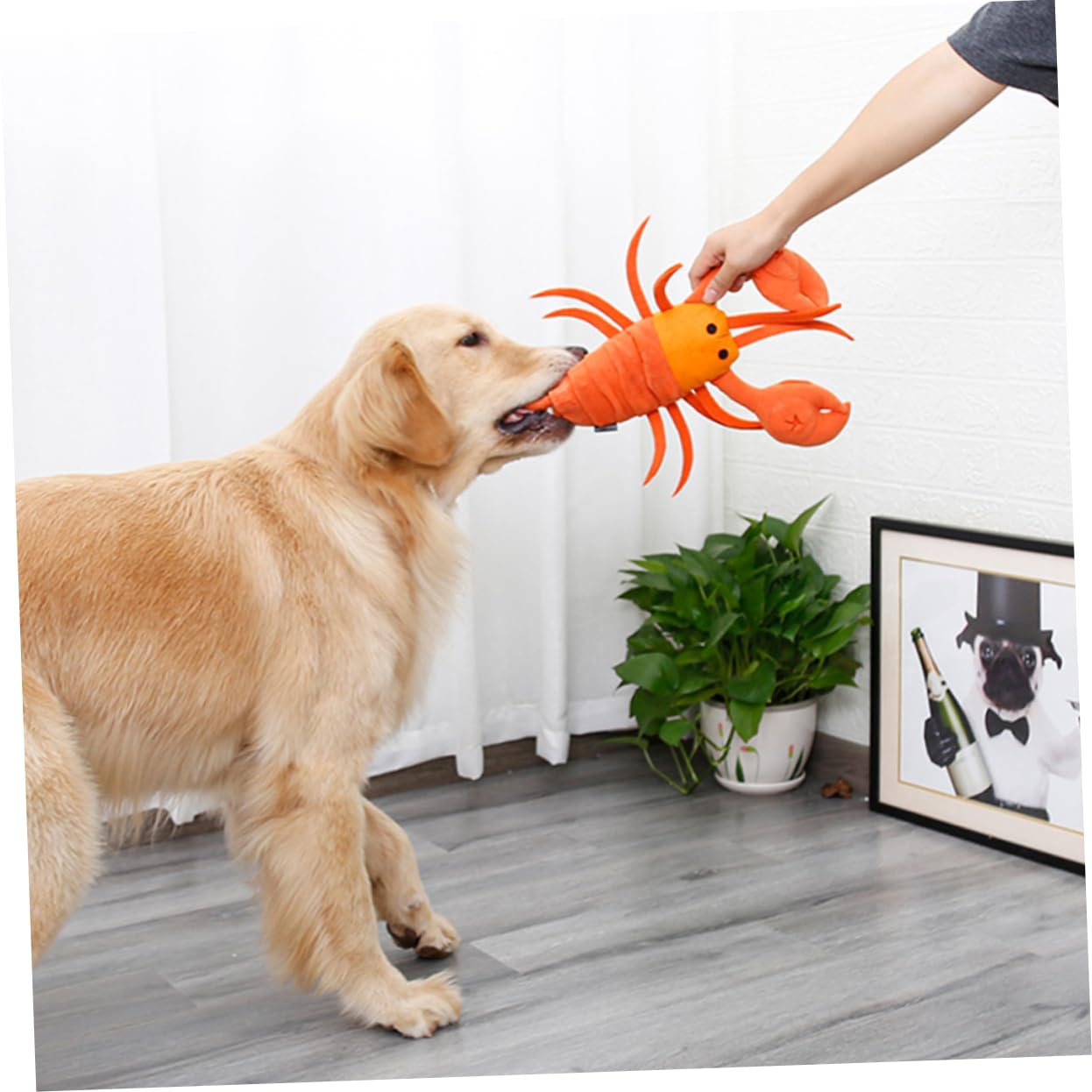 FRCOLOR 2 Juguetes para Alimentar Mascotas Juguetes Rellenos para Perros Accesorios de Limpieza comederos para Mascotas Accesorios para Cachorros Juguetes de Peluche una Pieza Muestra Tela de Fieltro