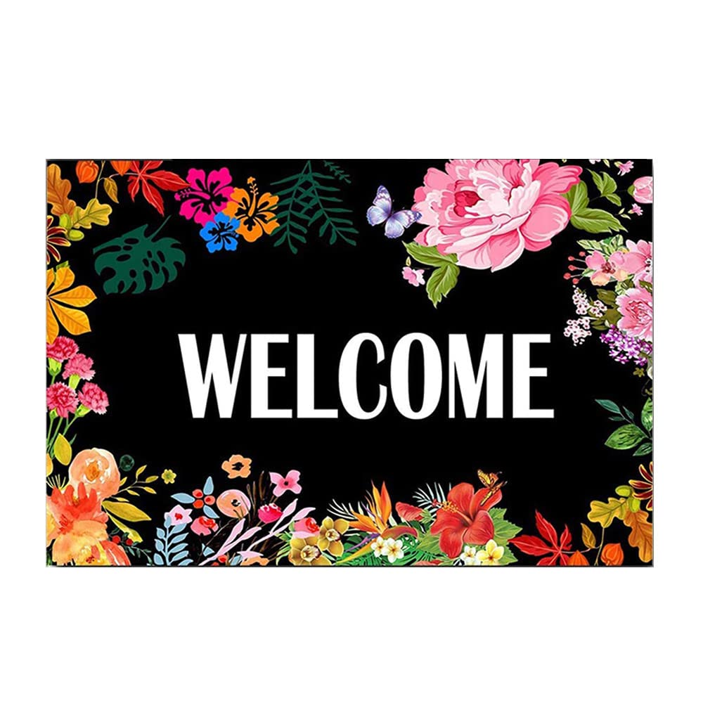 Zerbino d'ingresso Zerbino Benvenuto Zerbino Home Office Decorativo Porta Tappetino da Interno Tappetino Benvenuto (Size : 60x90cm)