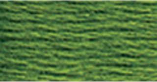 Dmc 6-Strand Embroidery Cotton 8.7yd-Dark Parrot Green
