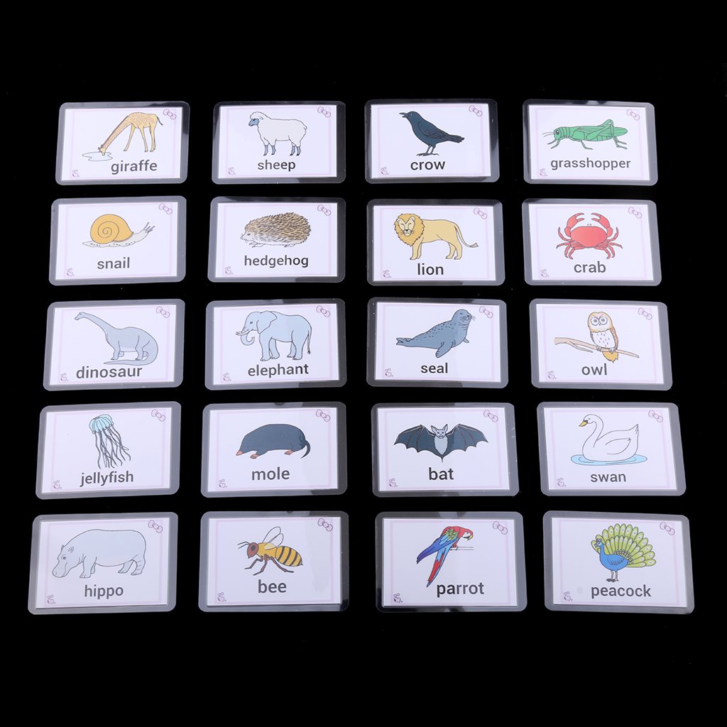 Cartes Mémoire Plastifiées pour Enfants, Animaux, 80pcs