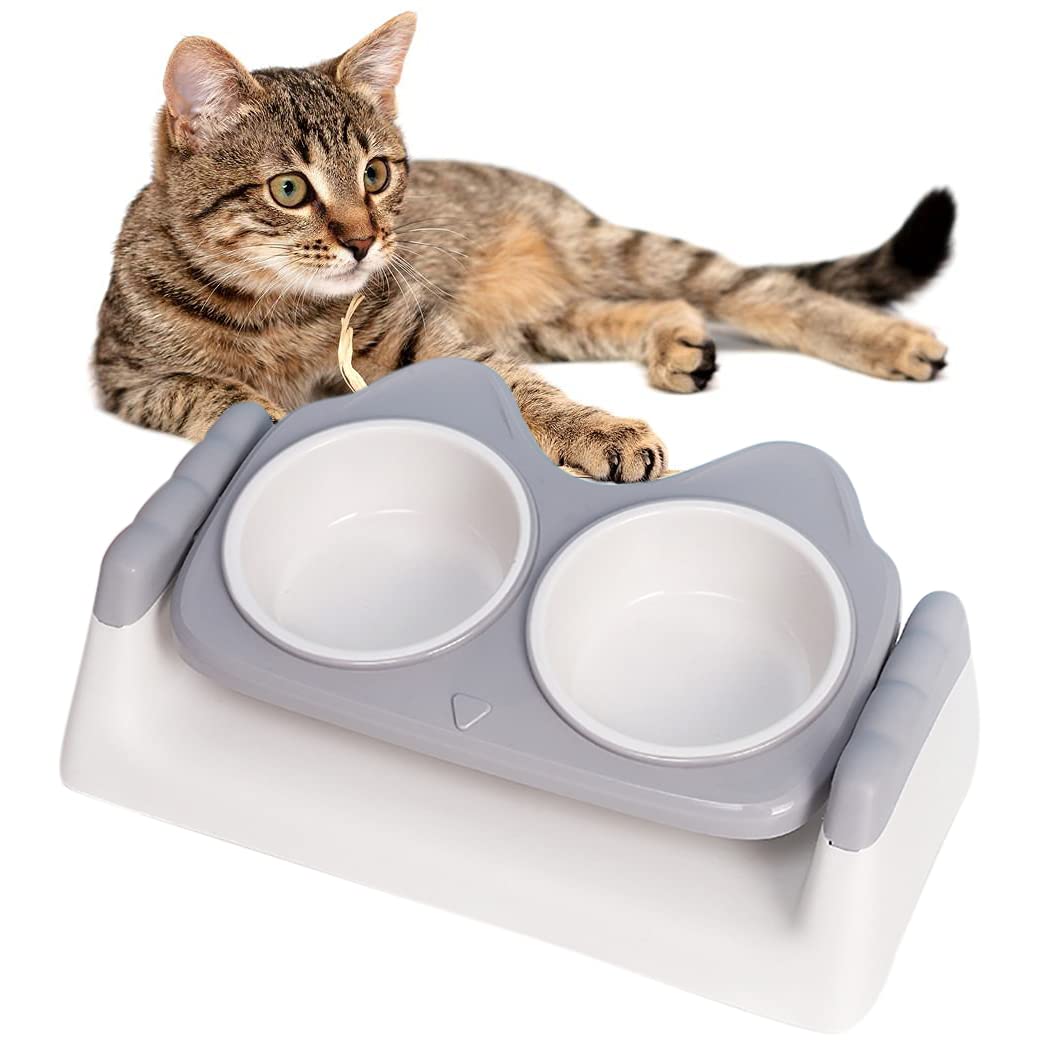 Doppel-Futternapf für Hund und Katze, geneigter Fressnapf mit Nackenschutz, Futter- und Wassernapf in einem, für Trocken- und Nassfutter, aus PP-Kunststoff, 32 x 17 x 9 cm