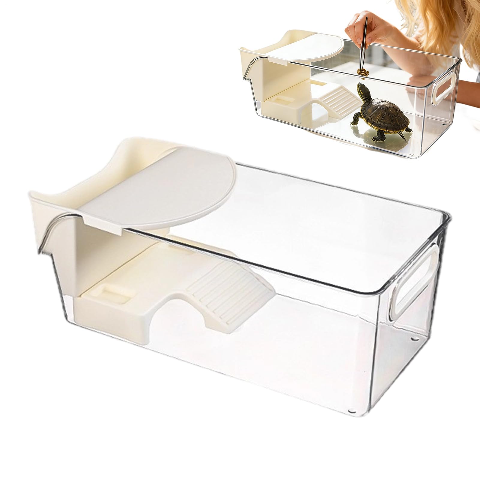 Aquarium pour tortue dans votre salon | Terrarium crabe ermite et reptile
