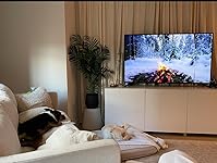 Review Image by AshJoJordan AshJoJordan