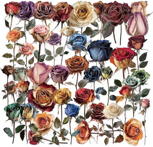 ���B���e�[�W�h���C���[�Y�X�e�b�J�[50���A�����Ŗh�����̂���t�����[�{�^�j�J���X�N���b�v�u�b�N�X�e�b�J�[ ���L�A�H��A�m�[�g�p�\�R���A�m�[�g�A�J�[�h�A�M�t�g�ɓ\��������ԕ��f�J�[�� (�͂ꂽ��)