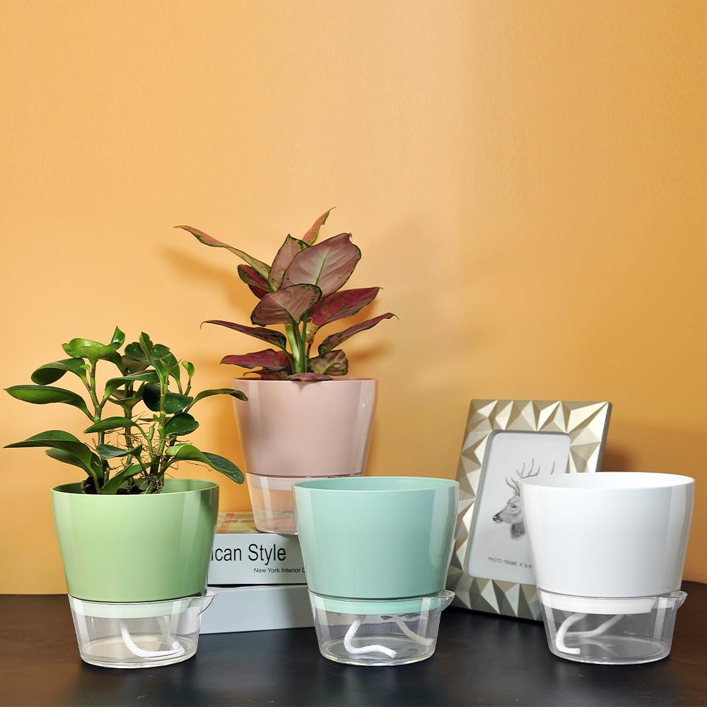 UMAI Self Watering Plant Pot - 6 inches (15.5 cm) Plant Pots | Plastic Automatic Watering Planters for Indoor, Outdoor, Balcony, Garden, Home, Office (Pack of 4, Multicolor) (B0CGZNWSK1) Amazon Price History, Amazon Price Tracker