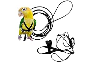 Adjustable Birds Harness and Leash