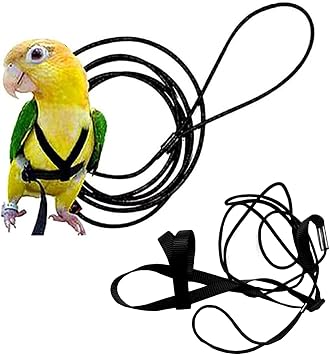 Adjustable Birds Harness and Leash Parrot Harness Leash Training Supplies Pet Anti-bite Outdoor Flying Rope for Conures Budgerigar Lovebird Cockatiel Mynah S, Black