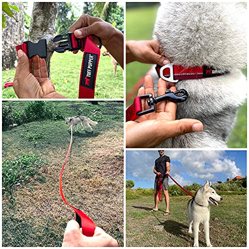 Tuff Pupper Heavy Duty Long Dog Leash | 20 Foot | Buckle Handle | Dog Recall Training Leash | High Visibility Nylon Webbing Leash | Rust Resistant Swivel Clasp/Clip Provides For Tangle Free Use #TOP2