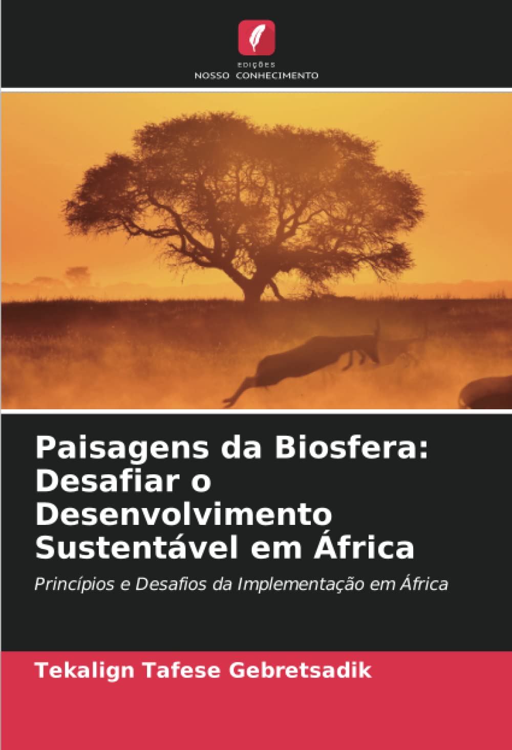 Paisagens da Biosfera: Desafiar o Desenvolvimento Sustentável em África: Princípios e Desafios da Implementação em África
