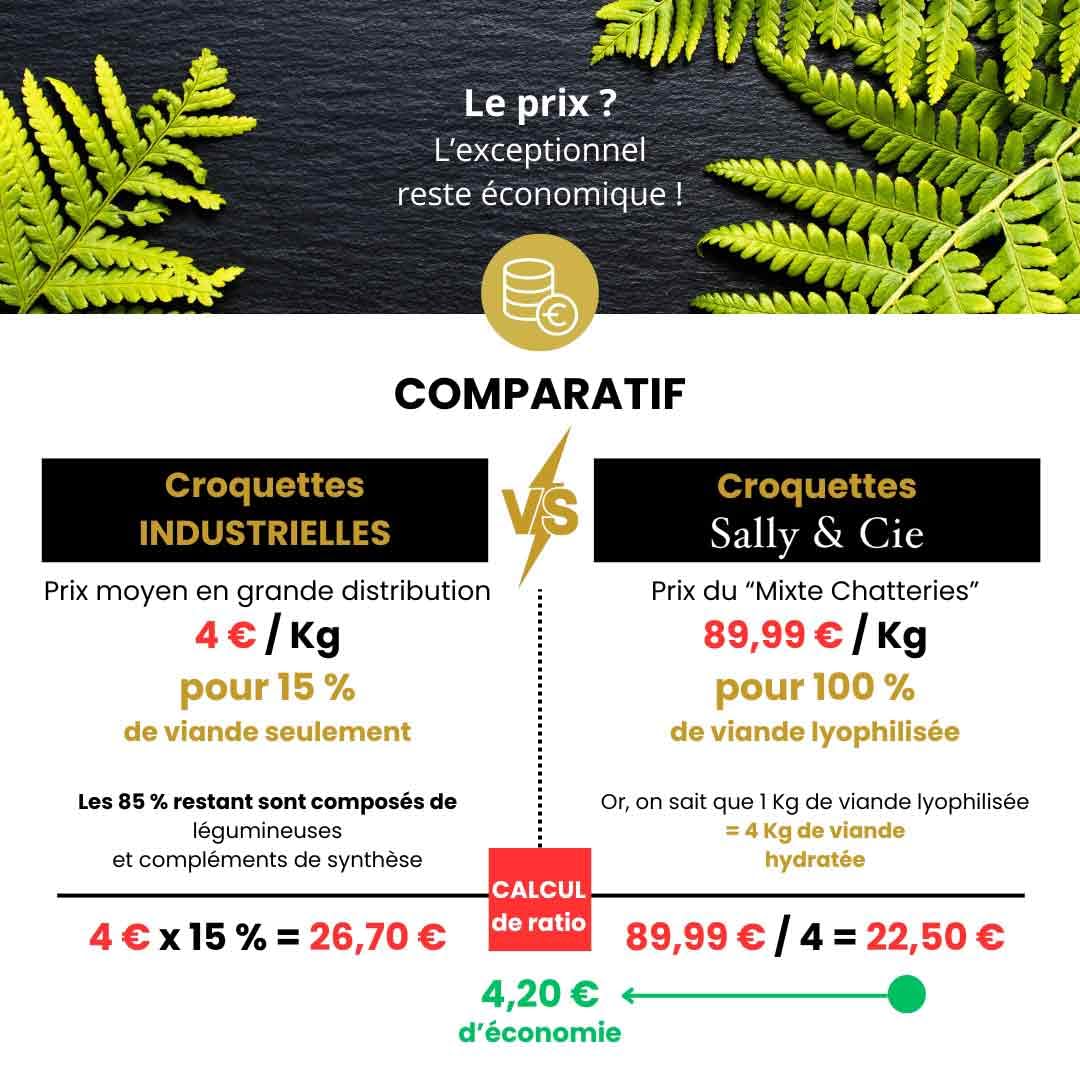 Filet de Dinde - Croquette Barf - Filet de Dinde lyophilisé pour Chat (Large)
