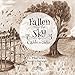 Fallen From The Sky: Ca&Atilde;&shy;do del Cielo