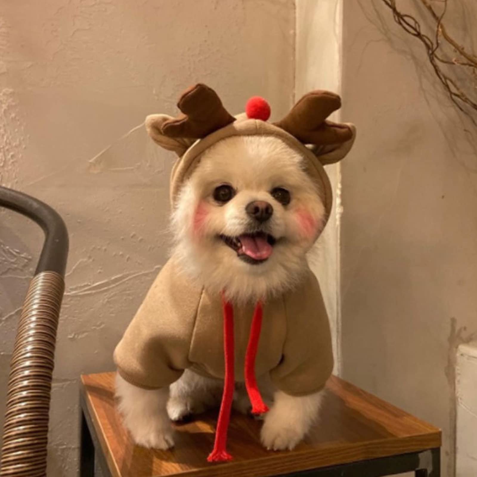 Cappotto Natalizio Per Cani E Gatti - Felpa Con Cappuccio Pupazzo Di Neve, Taglia L, Per Autunno E Inverno