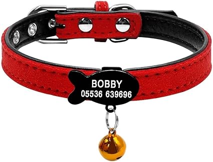 special cat collars
