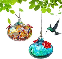 Pacote com 2 alimentadores de beija-flor de vidro soprado para ambientes externos, alimentador de beija-flor de vidro para pendurar na janela, comedouros de beija-flores à prova de abelha
