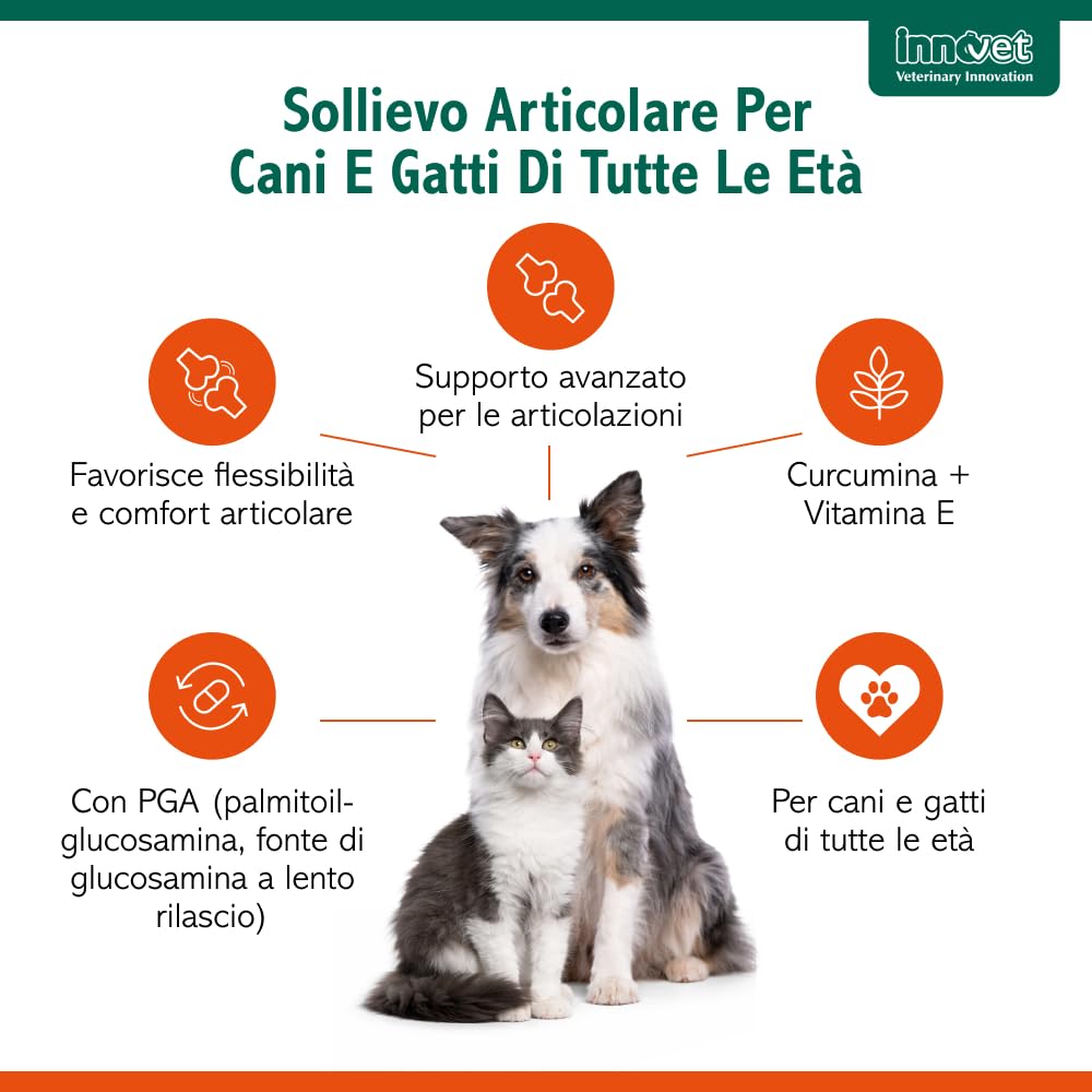 Glupacur Sollievo articolare per cani e gatti di tutte le età con PGA (Palmitoil-Glucosamina), Estratto di curcuma longa e Vitamina E – Alimento complementare – 30 compresse