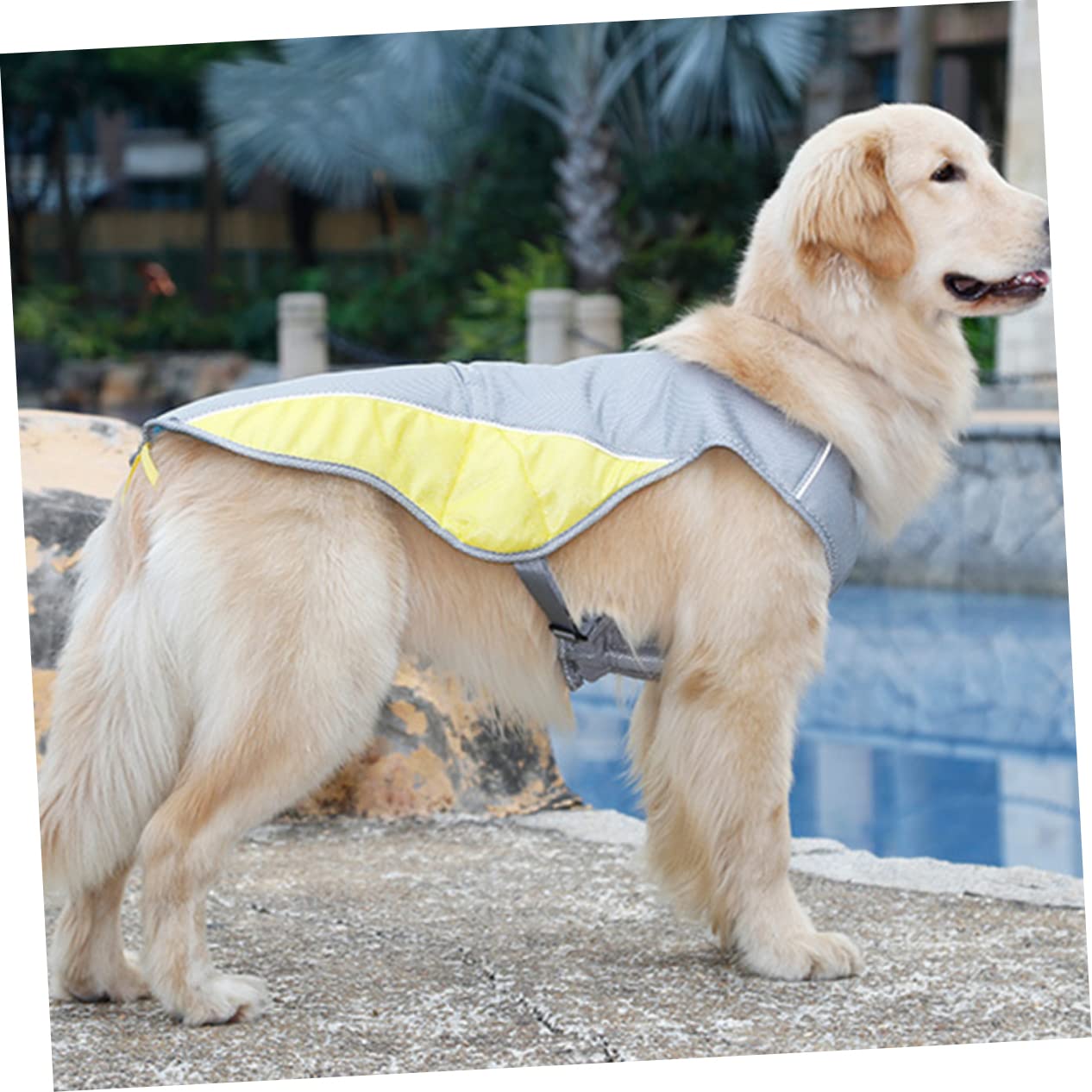 Housoutil 3pièces Gilet Refroidissant pour Animaux De Compagnie Veste Évaporation Été s Couleur Assortie Confort Respirant Et Réfléchissant pour Chiens