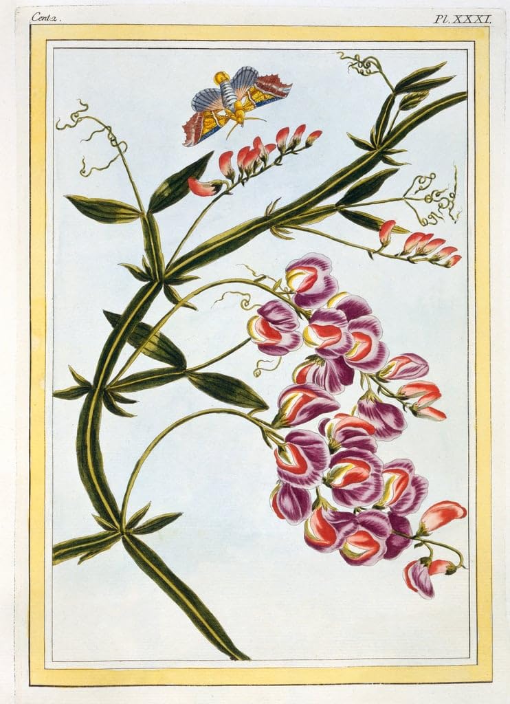 Póster de Pierre Buchoz para dar un toque artístico y elegante al salón de tu hogar 5