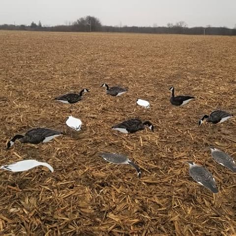 Top Down Decoys - Combo Pack - Canada Goose/Snow Goose Decoy - 6 Vertical Goose Decoys and 6 Reversible Horizontal Goose Decoys Cover