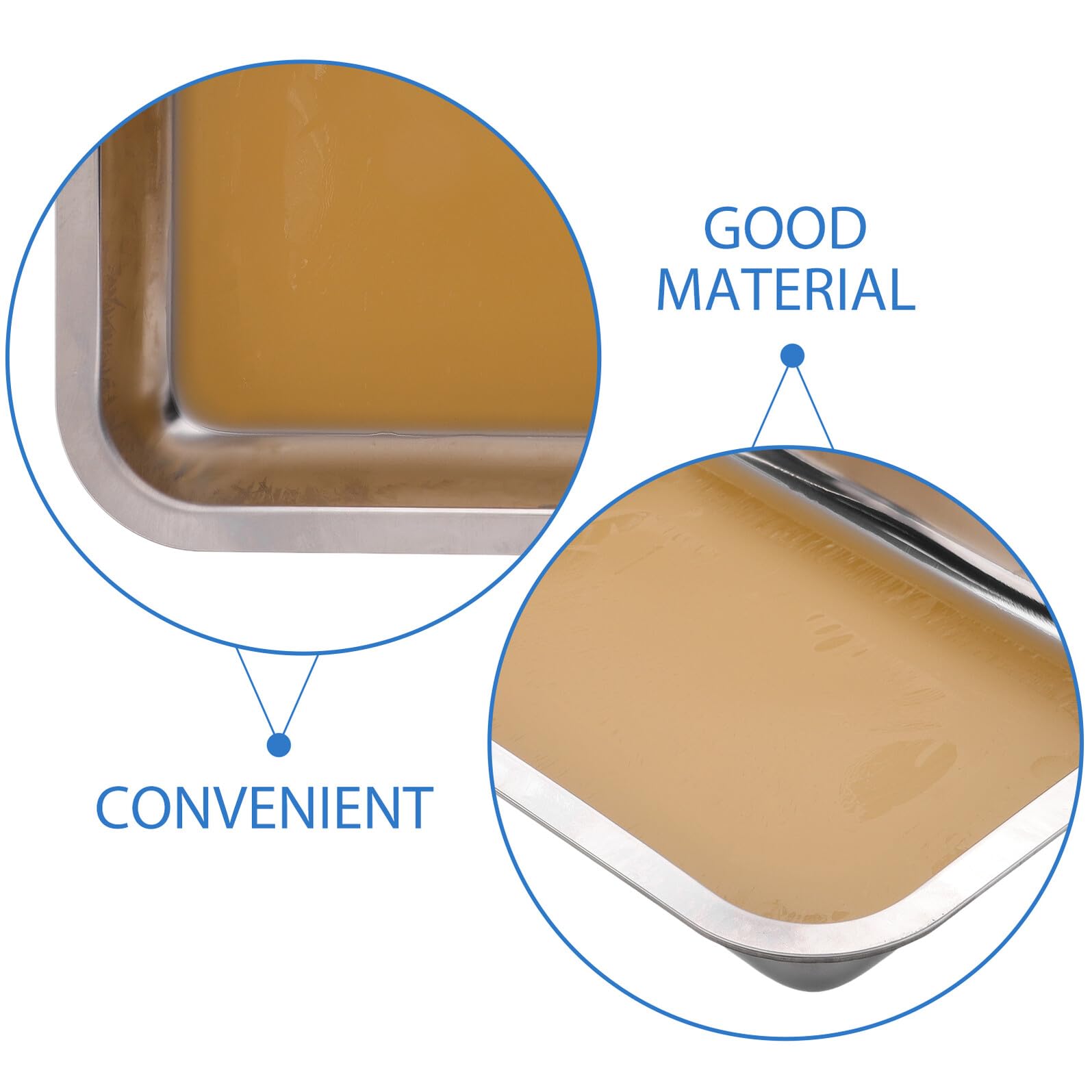 SEWACC Bandeja de Disección de Acero Inoxidable con Base de Cera Resistente y Duradera para Laboratorio Biológico Herramienta Versátil para Enseñanza y Experimentos Científicos