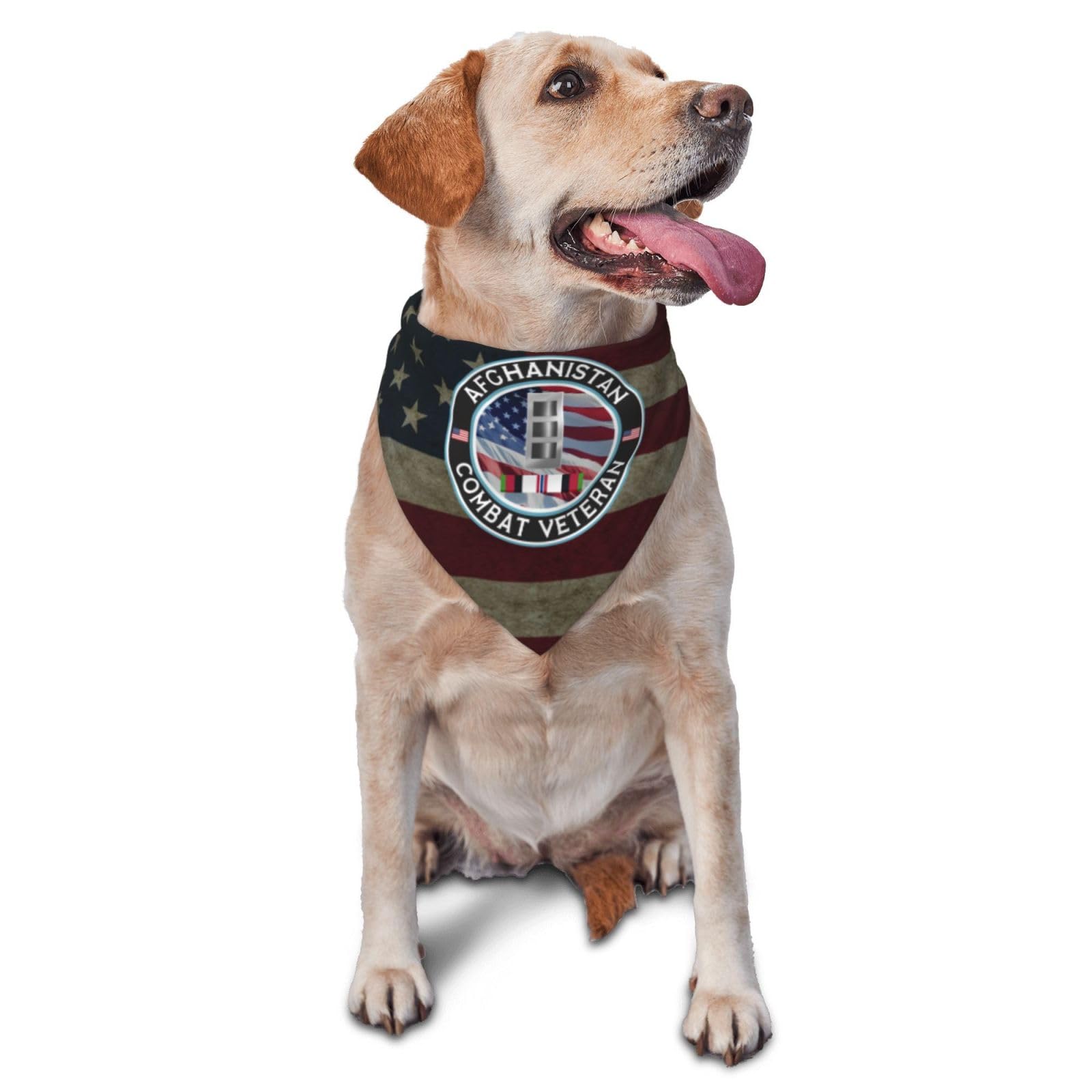 US Army W-3 Chief Warrant Officer 3 W3 CW3 Afghanistan Combat Veteran Dog Scarf Pet Bandana Cat Pet Bibs