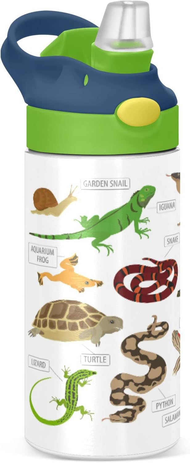 Green and Brown Pet Reptiles Frog Iguana Lizard Snake Newt Turtle Tumbler with Lid & Straw, Boys Girls Stainless Steel Double Wall Cup Water Bottle BPA-Free Vacuum Insulated Thermal Mug 11.8 Oz