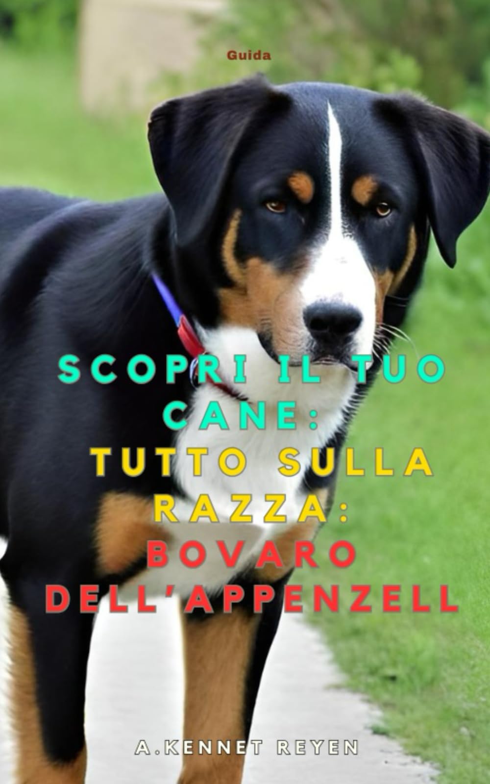 Scopri il tuo Cane:Tutto sulla razza: Bovaro dell’Appenzell